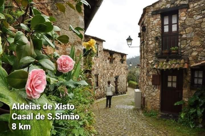 Casa Da Vila Figueiro Dos Vinhos Exterior foto